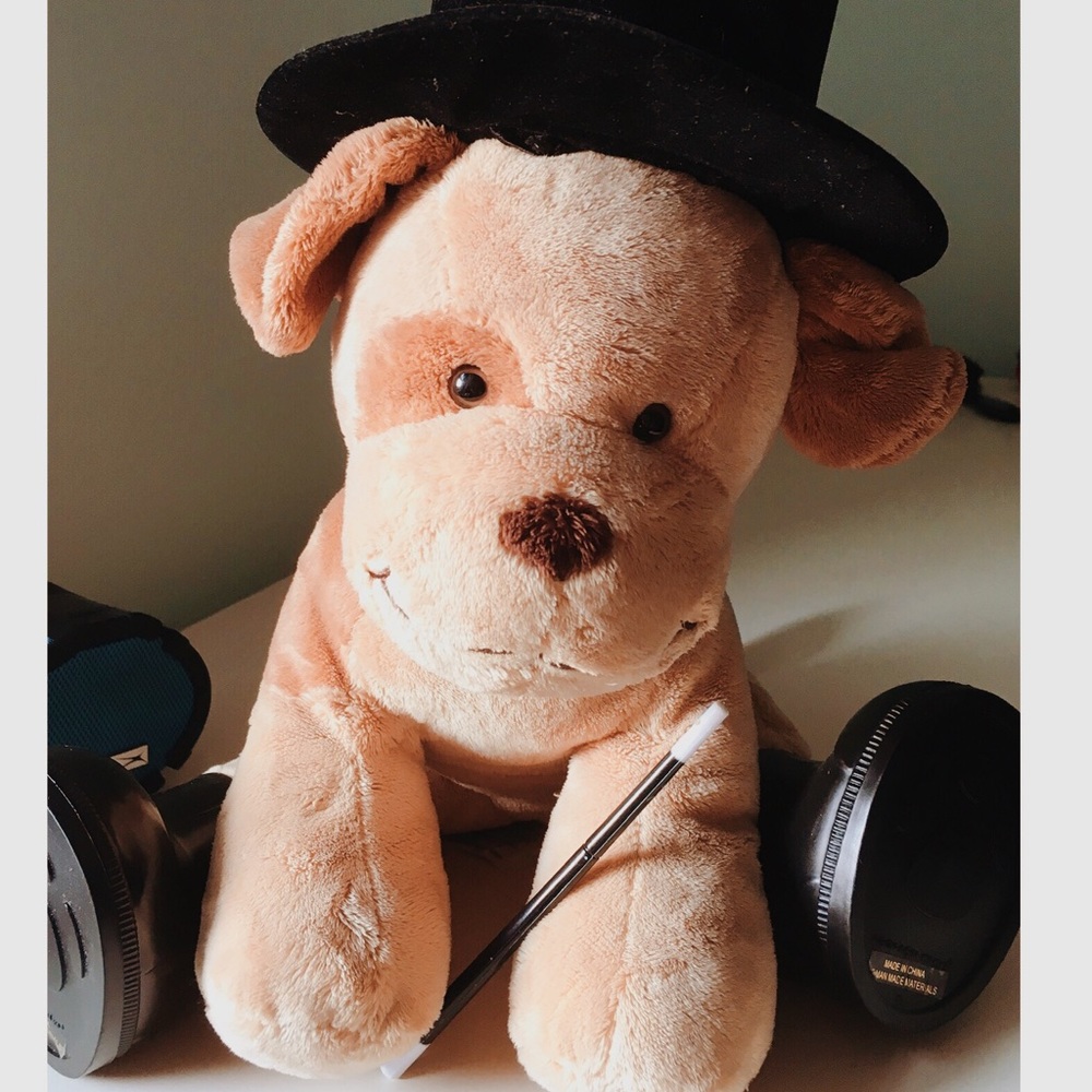 Discontinued Build-A-Bear stuffed animal & extras